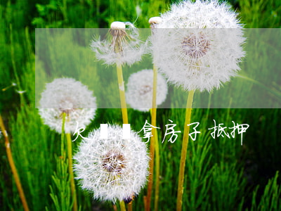 欠網貸拿房子抵押