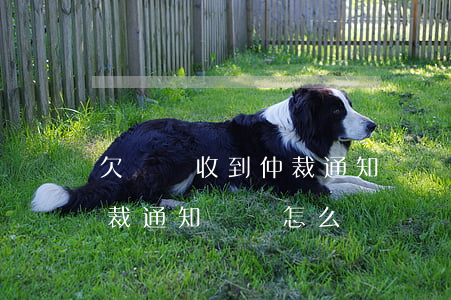 欠網貸收到仲裁通知書圖片(網貸逾期收到仲裁通知書該怎么辦?)