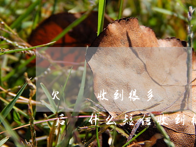 欠網貸收到很多驗證碼短信怎么辦(網貸逾期后為什么短信收到很多驗證碼)