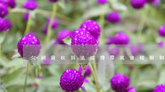 欠網貸收到法院傳票就會被限制-
