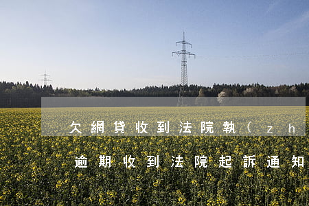 欠網貸收到法院執(zhí)行通知書(網貸逾期收到法院起訴通知書)