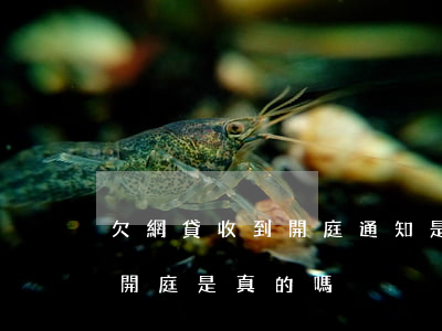 欠網貸收到開庭通知是真的嗎(網貸發短信說開庭是真的嗎)