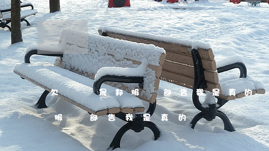欠網貸晟邦服務部告我是真的嗎(欠網貸晟邦服務部告我是真的嗎)
