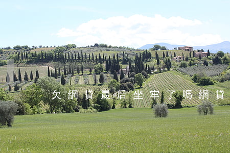 欠網貸最后坐牢了嗎(網貸欠款會坐牢嗎)