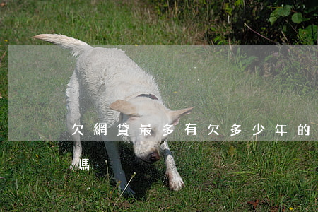 欠網貸最多有欠多少年的(今年欠網貸的人多嗎?)