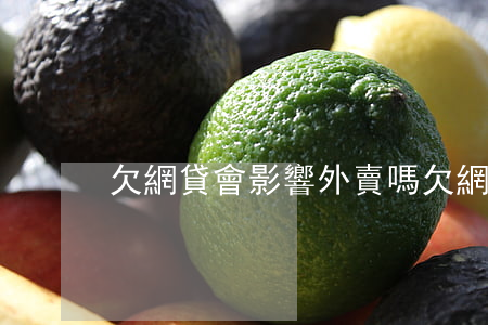 欠網貸會影響外賣嗎(欠網貸能跑外賣嗎)