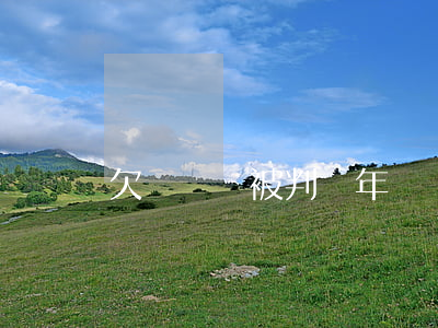 欠網貸會被判幾年(網貸欠幾年會被起訴)