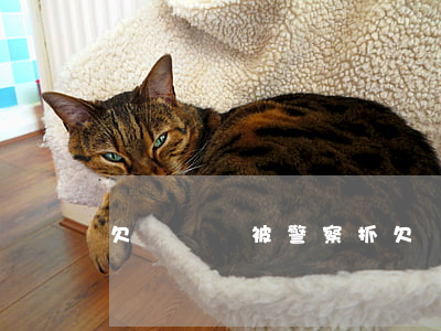 欠網貸會被警察抓(欠網貸會被警察抓)