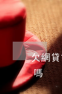 欠網貸會被限高消費嗎(欠網貸會被限高消費嗎)