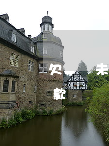 欠網貸未還外匯會被扣嗎(外幣欠款會自動扣款嗎)