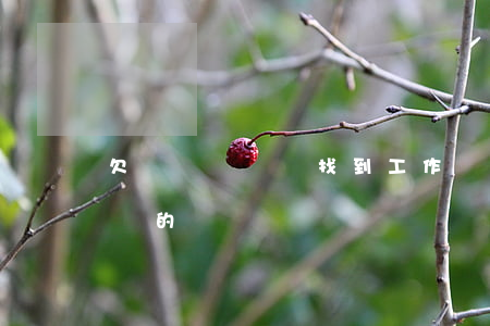 欠網貸沒還會找到工作嗎(有沒有人欠網貸沒還的)