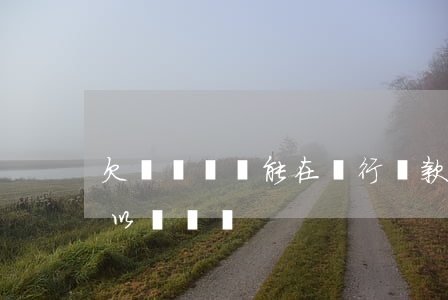 欠網貸沒還能在銀行貸款嗎(欠網貸沒還還可以網貸嗎)