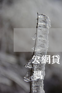 欠網貸沒還能坐高鐵嗎(欠網貸坐高鐵會被捉嗎)