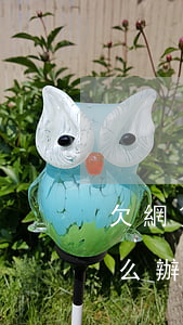 欠網貸沒錢怎么處理(欠網貸實在沒錢法院怎么辦)