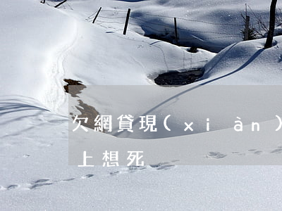 欠網貸現(xiàn)在想死了(欠網貸還不上想死)