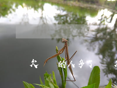 欠網貸的人多了(網貸欠款的人多嗎)