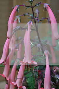 欠網貸的人心理怎么樣