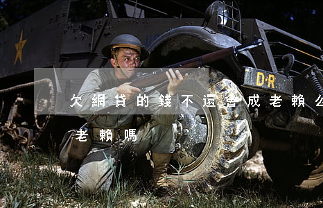 欠網貸的錢不還會成老賴么(網貸還不上會成老賴嗎)