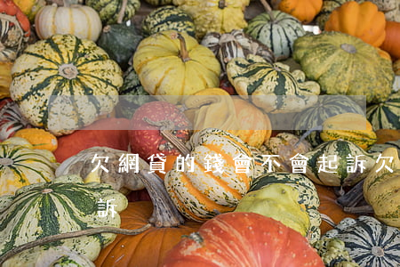 欠網貸的錢會不會起訴(欠網貸的錢會不會起訴)