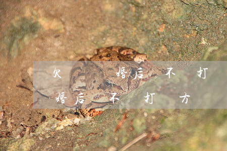 欠網貸結婚后會不會打對方電話-欠網貸結婚后會不會打對方電話催收
