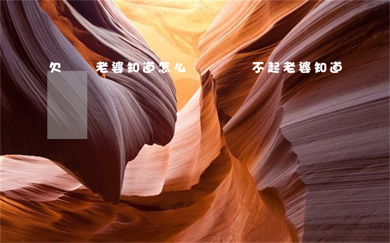 欠網貸老婆知道怎么辦（網貸還不起老婆知道）