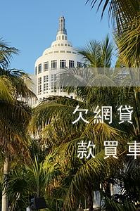 欠網貸能夠全款買車嗎(欠了網貸逾期可以貸款買車嗎)