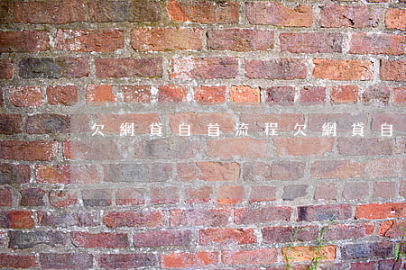 欠網貸自首流程(欠網貸自首有用嗎)