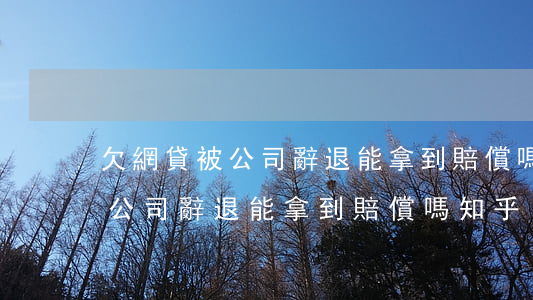 欠網貸被公司辭退能拿到賠償嗎-欠網貸被公司辭退能拿到賠償嗎知乎