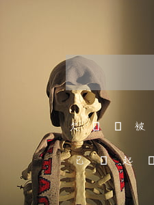 欠網貸被起訴以后法院怎么通知(欠網貸法院已經起訴了怎么辦)