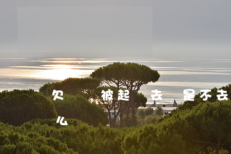 欠網貸被起訴去還是不去(欠網貸被起訴會怎么樣)