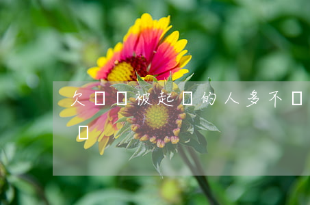 欠網貸被起訴的人多不(網貸欠款會不會被起訴)