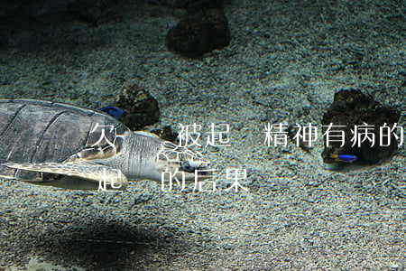 欠網貸被起訴精神有病的人怎么辦(欠網貸被起訴的后果)