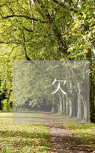 欠網貸警察會不會來抓我(網貸會被警察抓嗎)