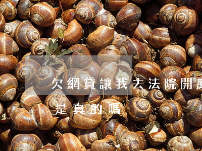 欠網貸讓我去法院開庭(欠網貸打電話說開庭是真的嗎)