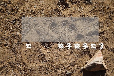 欠網貸賣孩子(孩子欠了網貸家長咋辦)