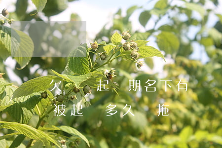 欠網貸起訴期名下有車會被拖走嗎(車貸逾期被起訴多久會拖車)