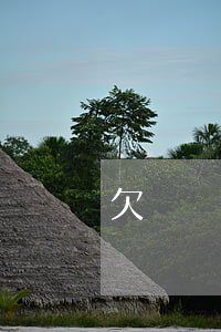 欠網貸車貸60萬跑路(男子欠6萬網貸)