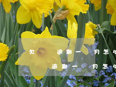 欠網貸逾期一個月怎么辦會有哪些后果-欠網貸逾期一個月怎么辦會有哪些后果呢