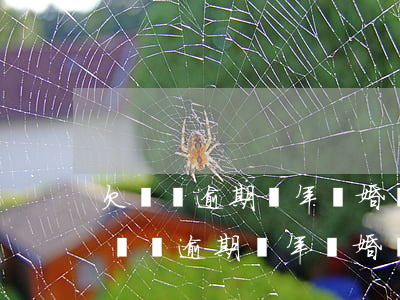 欠網貸逾期兩年結婚會查出對方信息嗎-欠網貸逾期兩年結婚會查出對方信息嗎