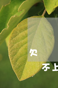 欠網貸還不上可以尋求法律援助嗎-欠網貸還不上可以尋求法律援助嗎知乎