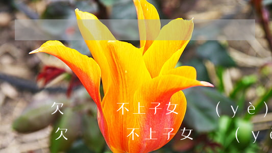 欠網貸還不上子女學業(yè)受影響嗎-欠網貸還不上子女學業(yè)受影響嗎怎么辦