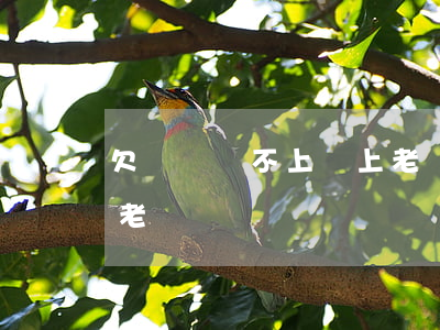 欠網貸還不上當上老賴怎么辦(網貸不還就是老賴嗎)