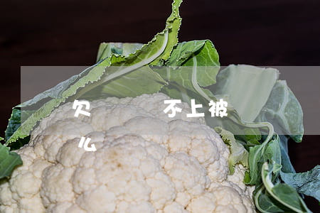 欠網貸還不上被騷擾(網貸還不上被騷擾了怎么辦)