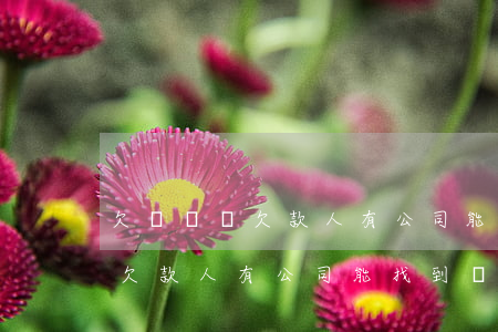 欠網貸錢欠款人有公司能找到嗎-欠網貸錢欠款人有公司能找到嗎有影響嗎