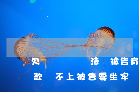 欠網貸錢沒辦法還被告有什么后果-網貸欠款還不上被告要坐牢嗎