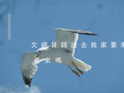 欠網貸錢說去我家要來嗎(欠網貸錢說去我家要來嗎)