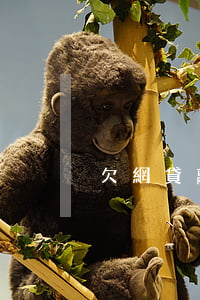 欠網貸離婚不離家(欠網貸能離婚嗎)