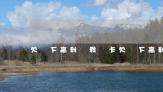 欠線下高利貸我愛卡(欠線下高利貸我愛卡)