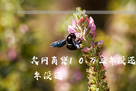 欠网商贷10万三年没还(欠网商贷20万三年没还)