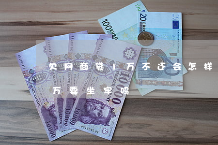 欠网商贷1万不还会怎样(网商贷欠款20多万要坐牢吗)